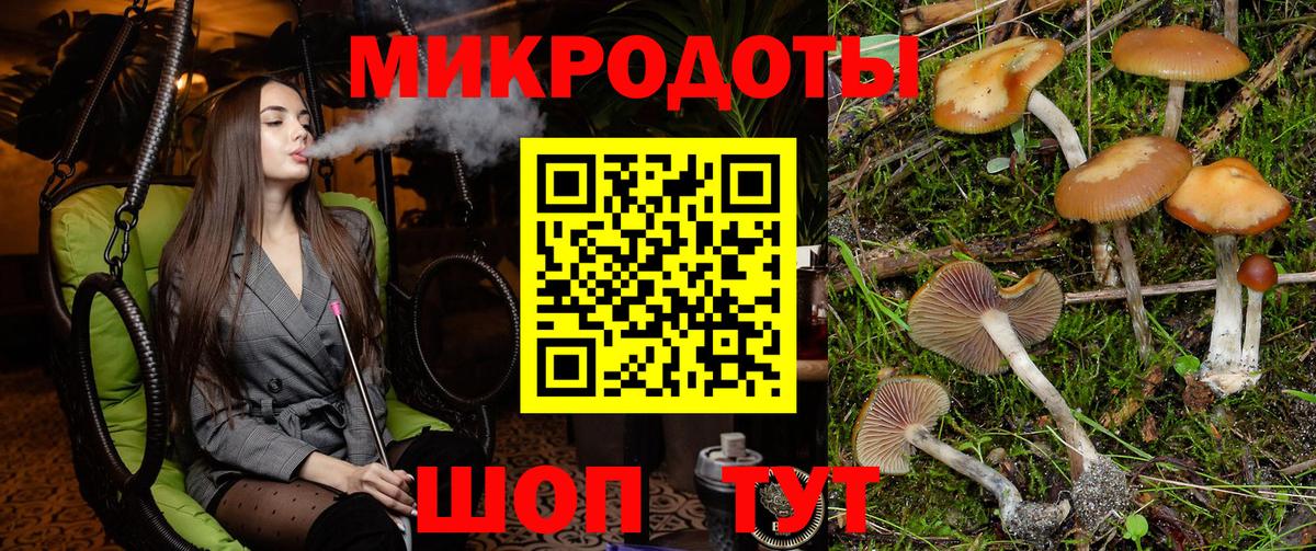 Рязань  Псилоцибиновые грибы Psilocybine cubensis  Псилоцибиновые грибы прущие грибы  Вход с VPN 